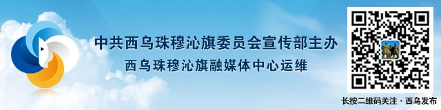 如何设计针对篮球主力的力量训练计划_1